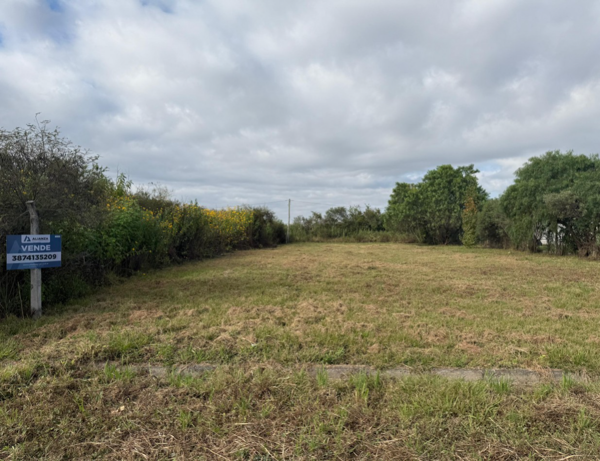 TERRENO EN VENTA - SAN LUIS