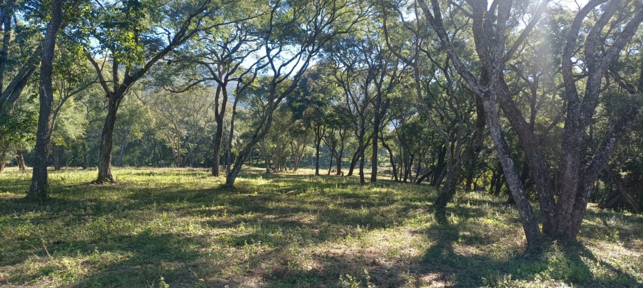 TERRENO EN VENTA - VAQUEROS - "LA MISION"
