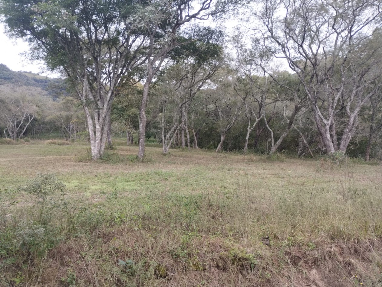 TERRENO EN VENTA - VAQUEROS - "LA MISION"