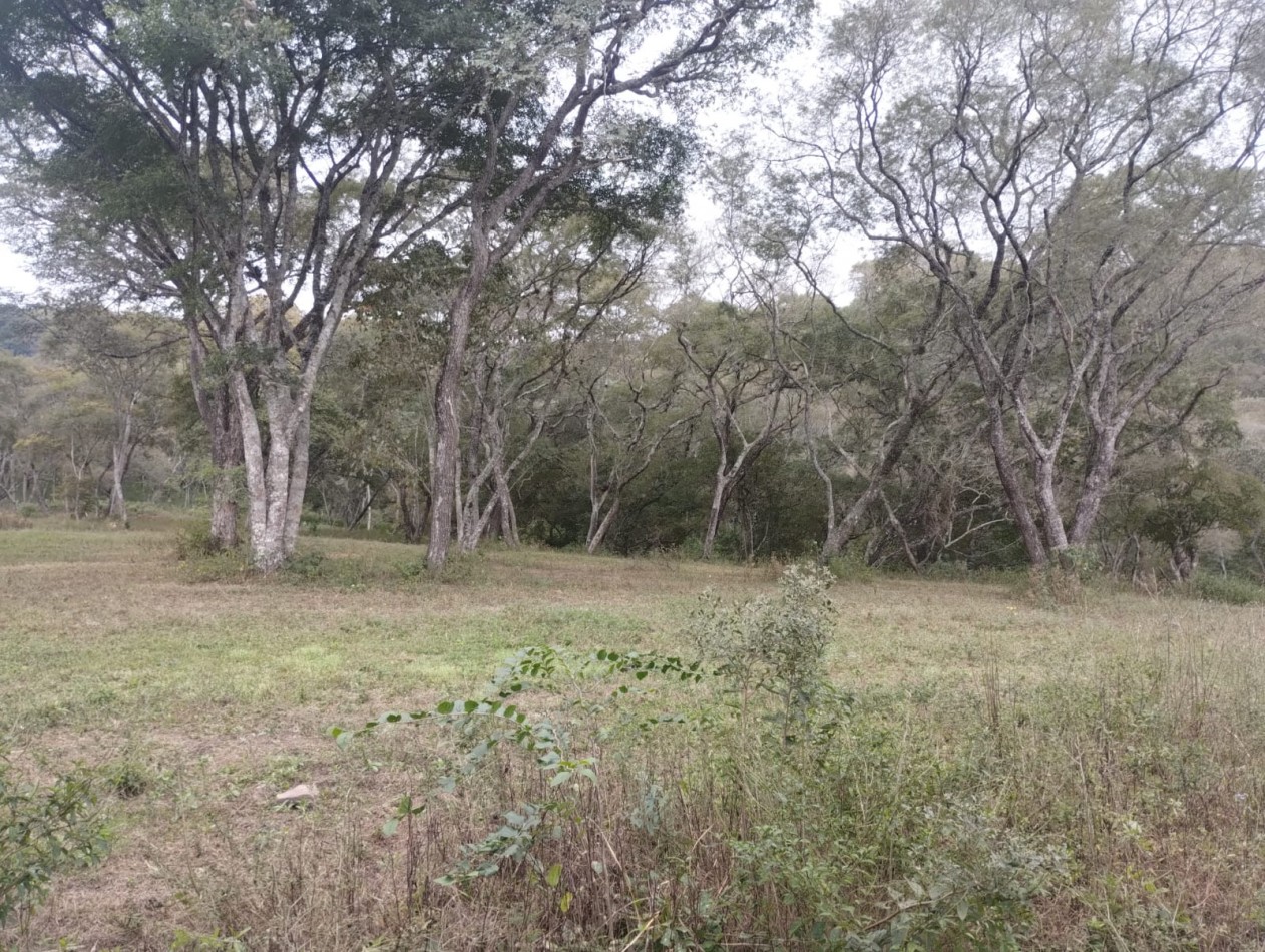 TERRENO EN VENTA - VAQUEROS - "LA MISION"