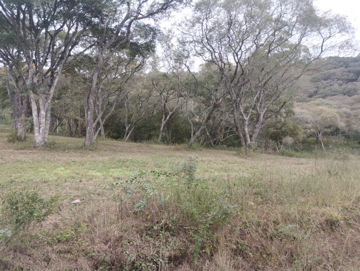 TERRENO EN VENTA - VAQUEROS - "LA MISION"