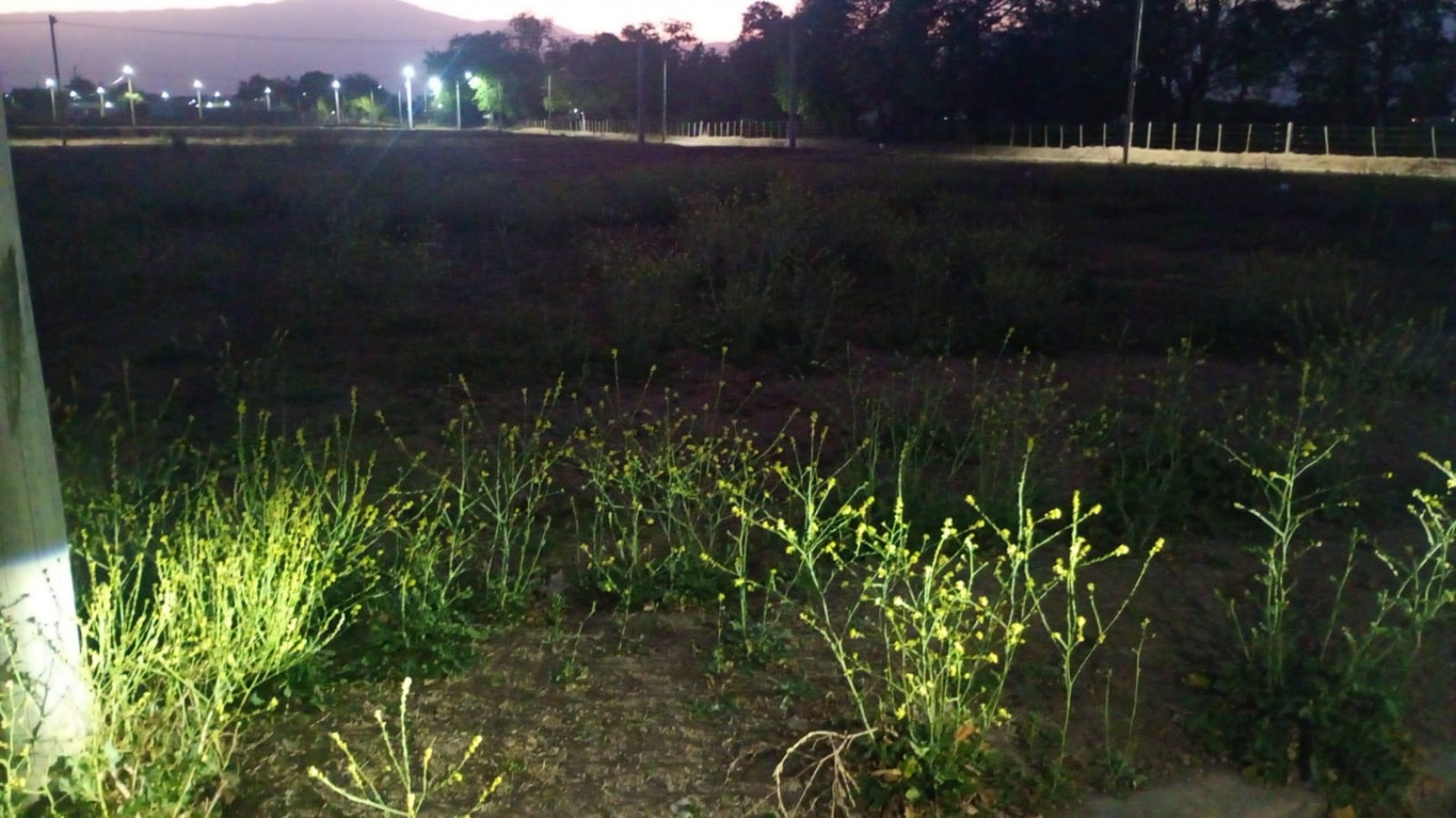 TERRENO EN VENTA - LA CELESTINA - CERRILLOS 