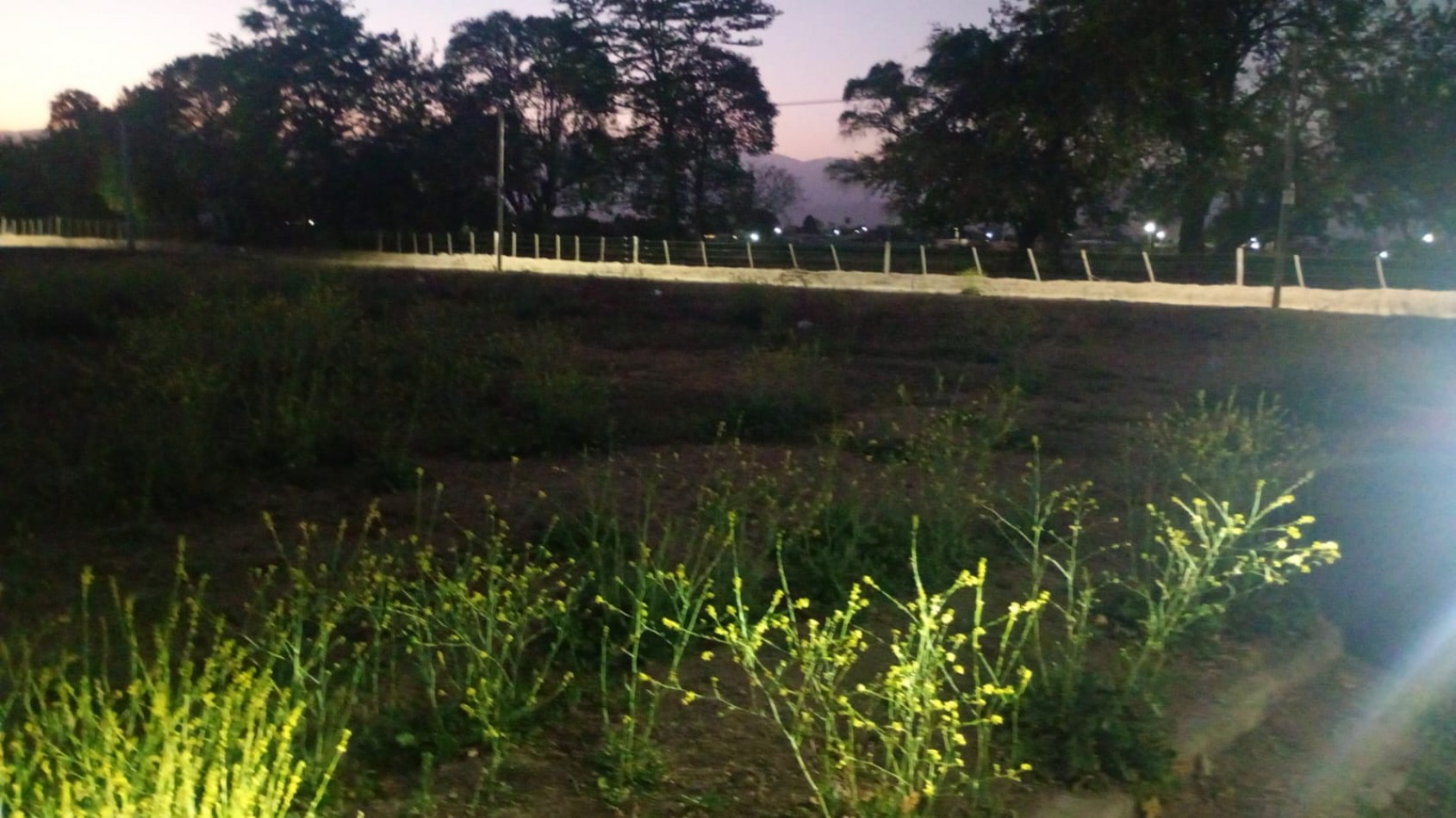 TERRENO EN VENTA - LA CELESTINA - CERRILLOS 