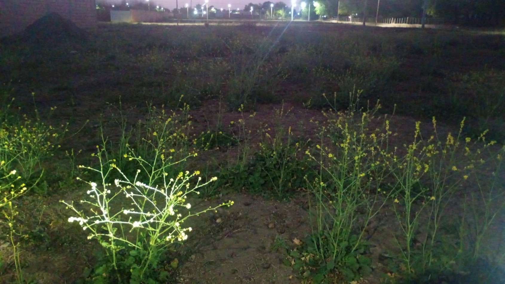 TERRENO EN VENTA - LA CELESTINA - CERRILLOS 