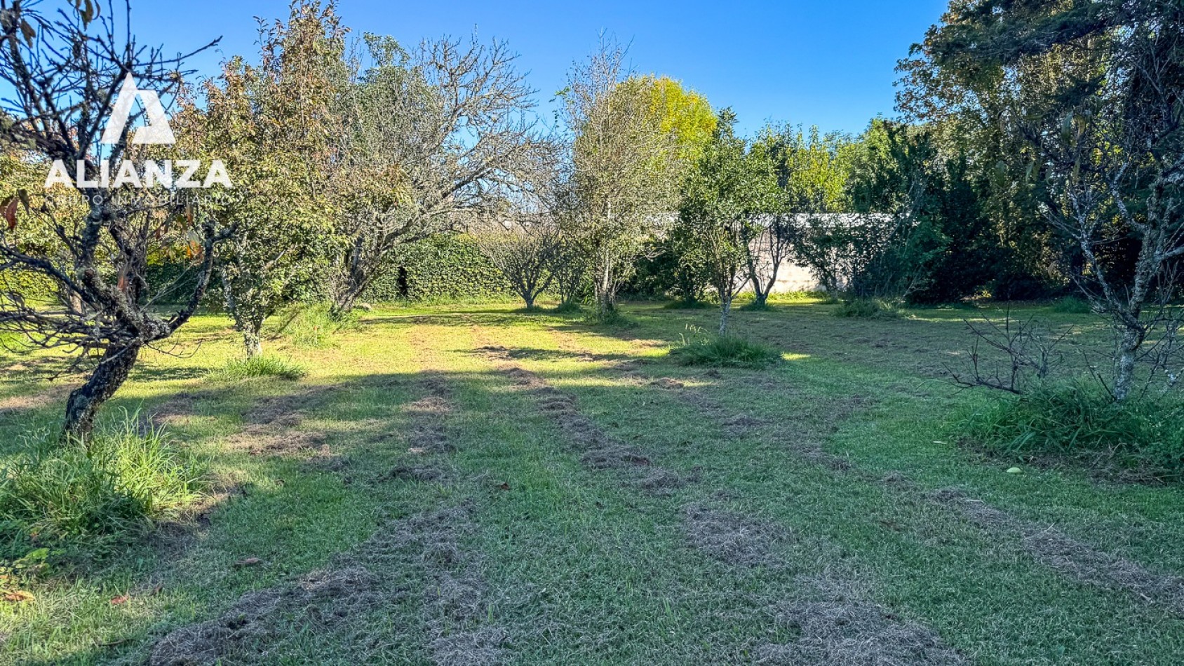 TERRENO SAN LORENZO