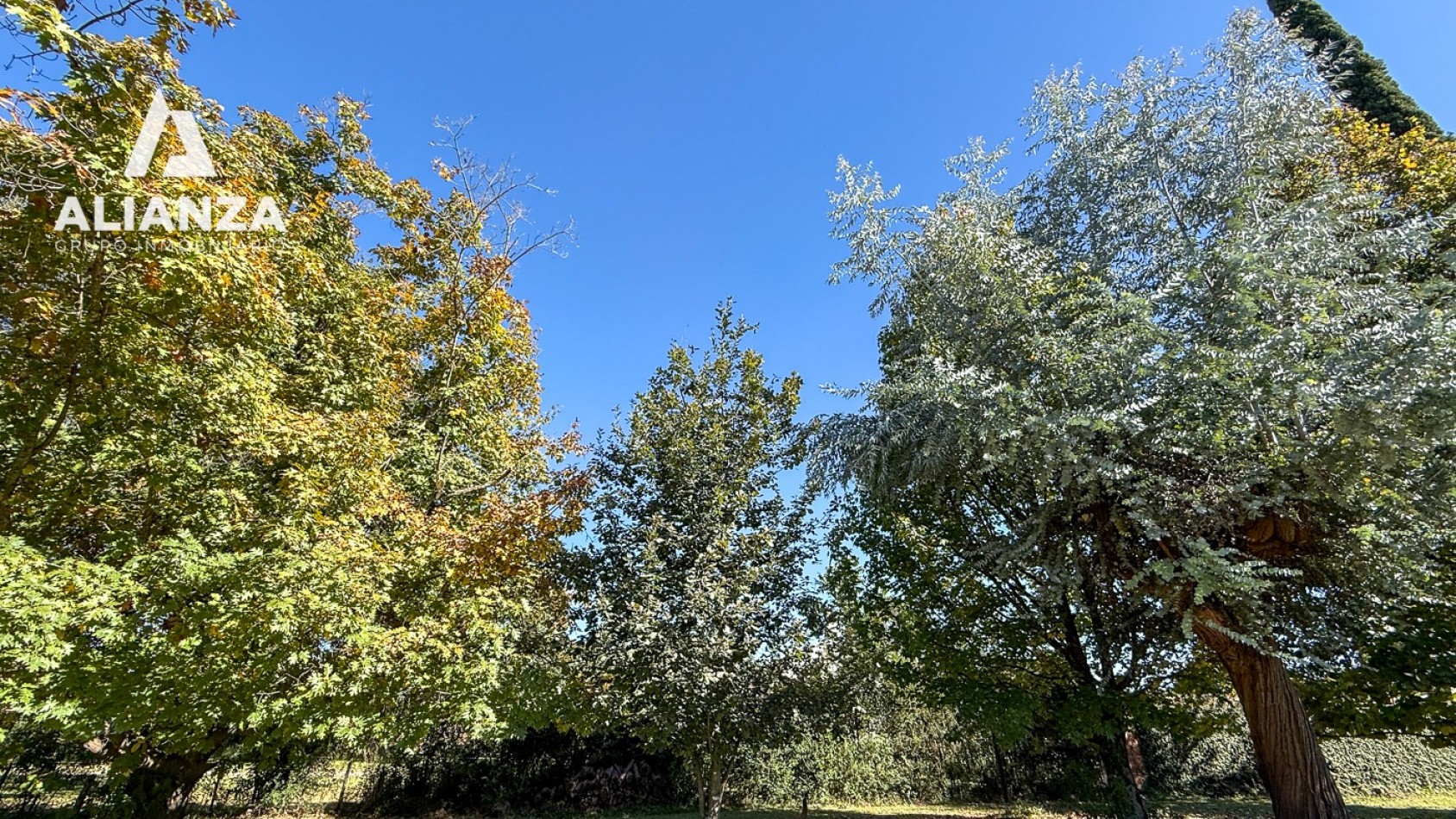TERRENO SAN LORENZO