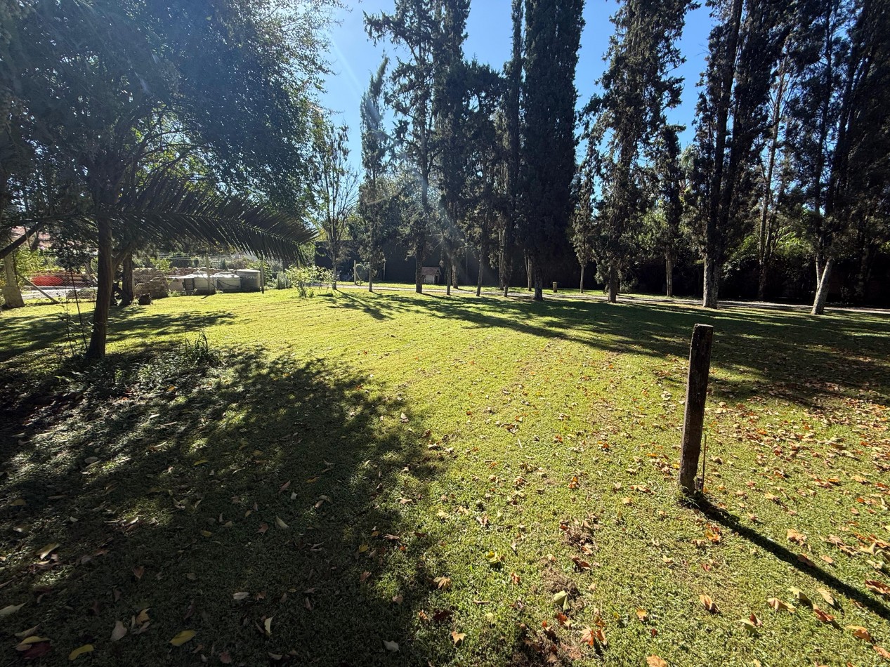 TERRENO SAN LORENZO