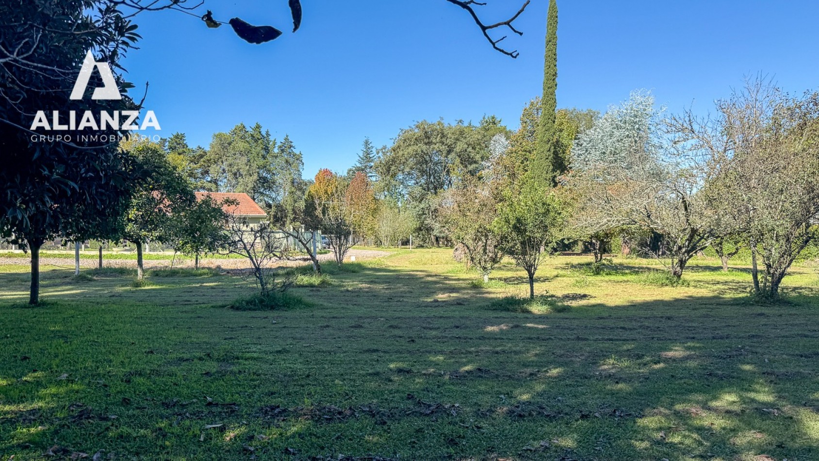 TERRENO SAN LORENZO