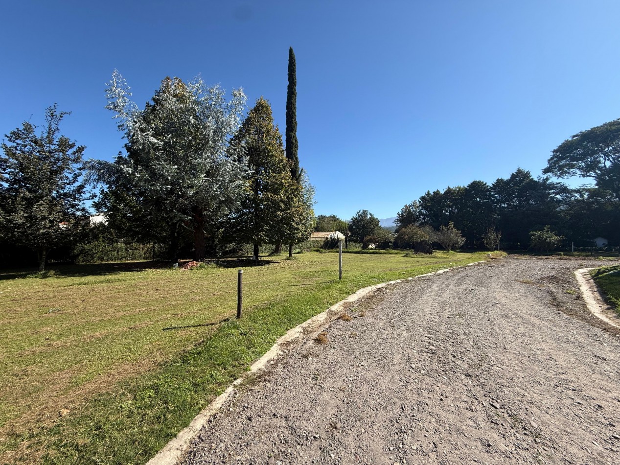 TERRENO SAN LORENZO