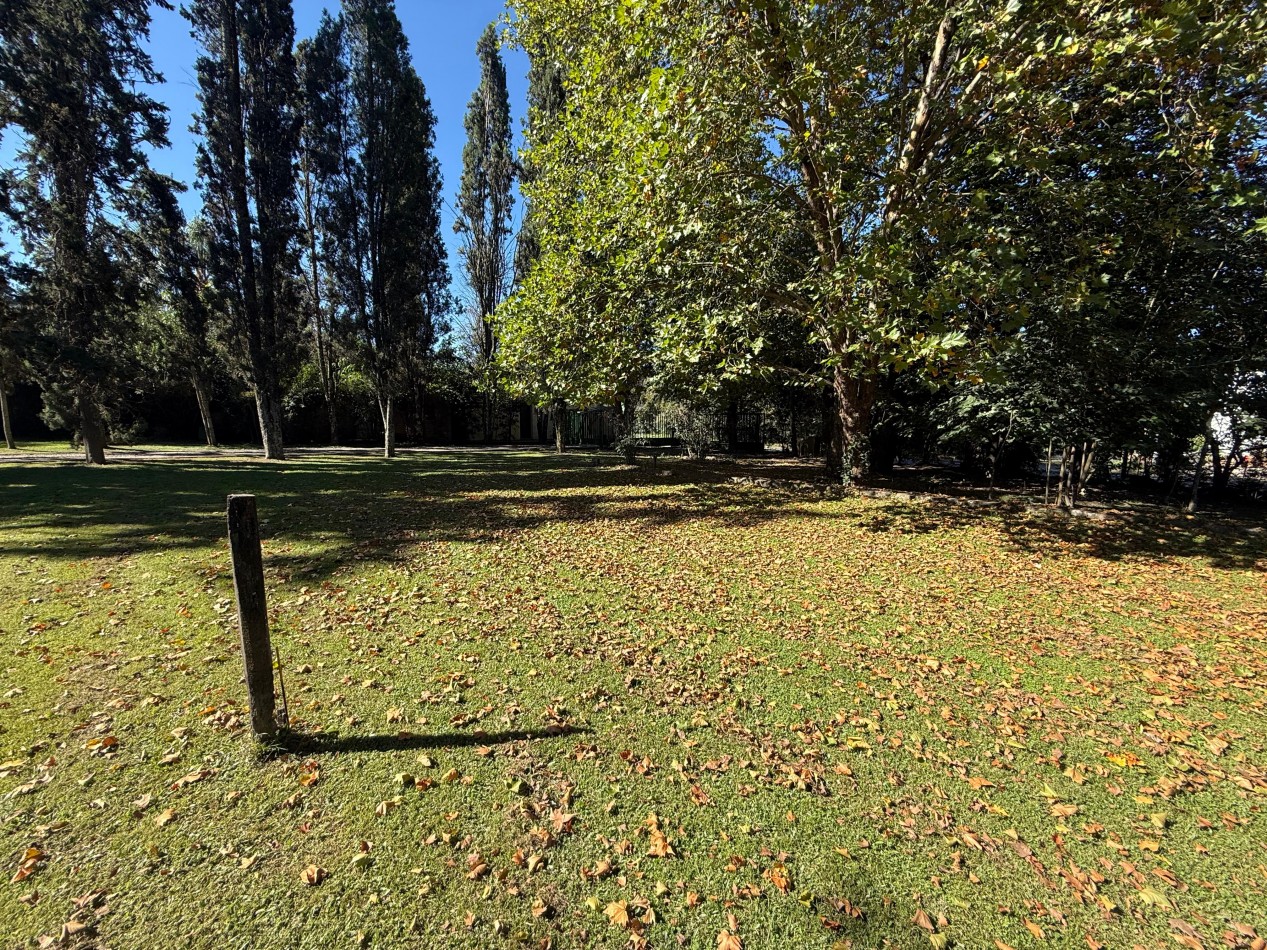 TERRENO SAN LORENZO