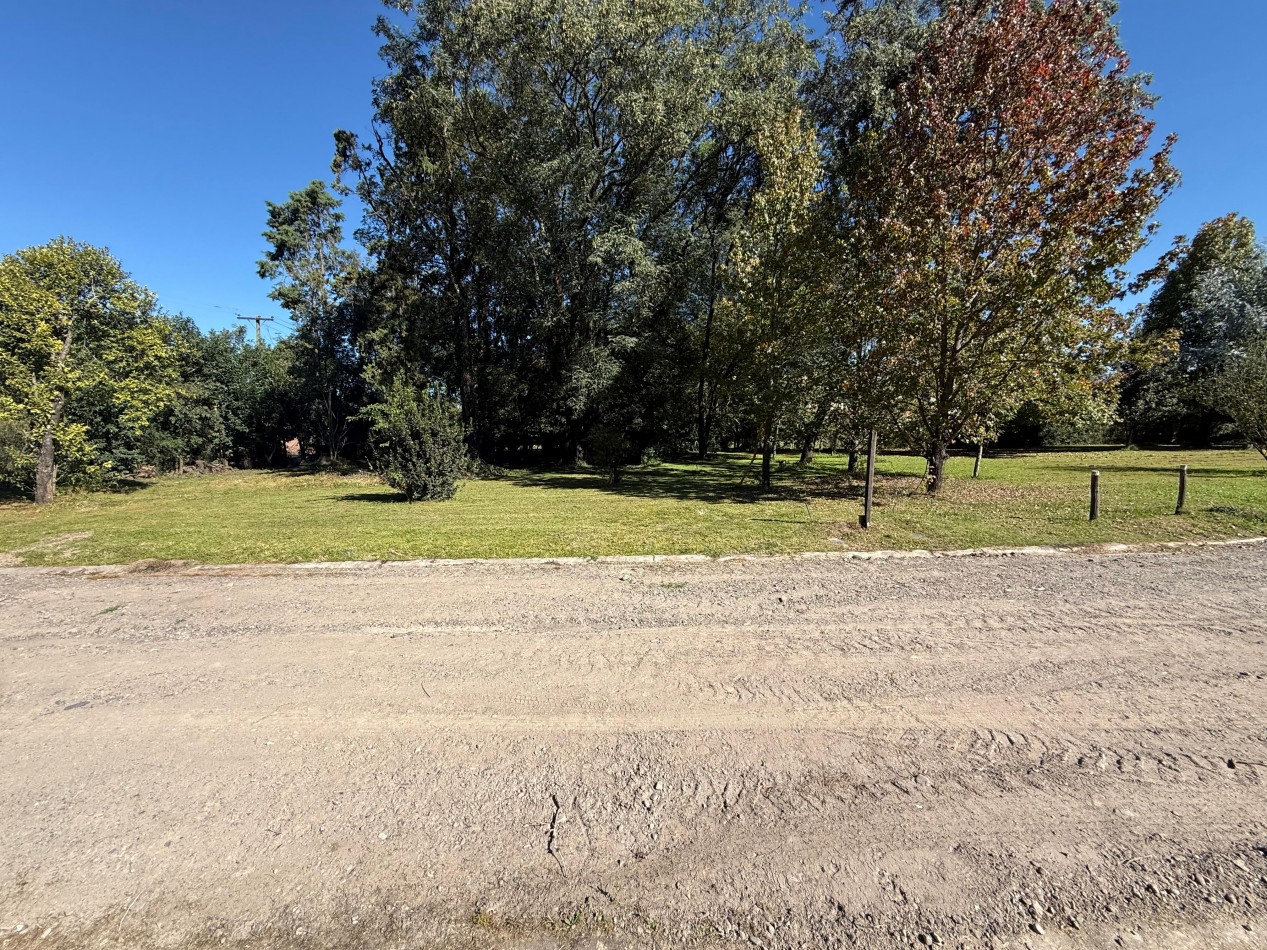 TERRENO SAN LORENZO