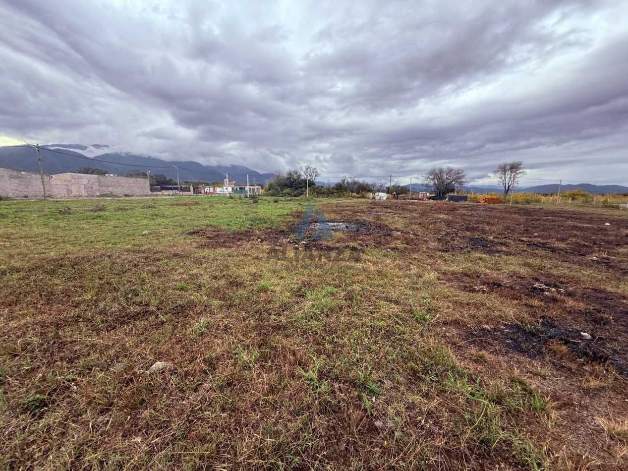 Terreno en Venta