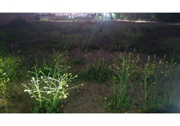 TERRENO EN VENTA - LA CELESTINA - CERRILLOS 