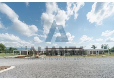 VENDO TERRENO LA ARBOLADA 